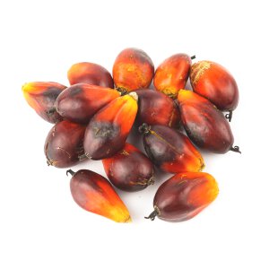 Palm Oil