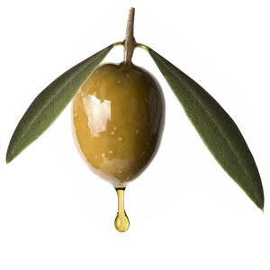 Olive Oil