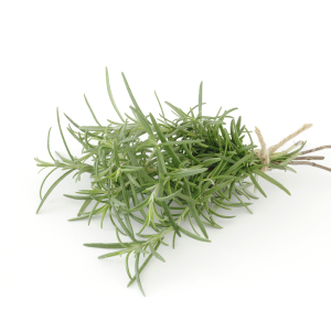 Rosemary Oil