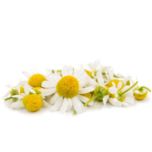 Chamomile Extract